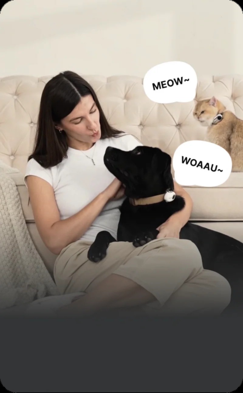 犬や猫とくつろぐ飼い主